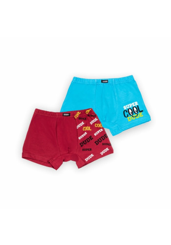 boxer briefs for the boy 2